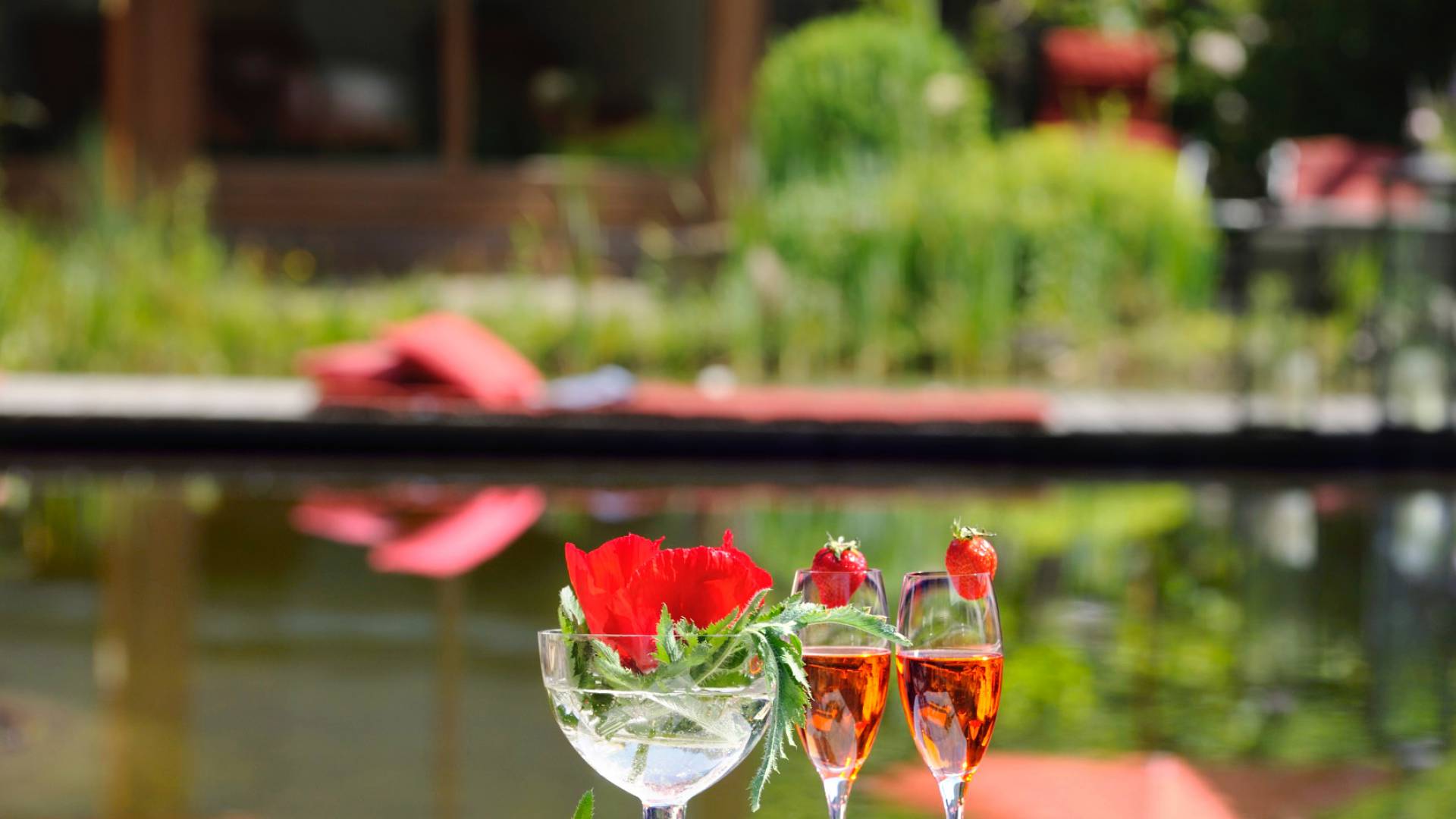 Wellnessgarten Drinks