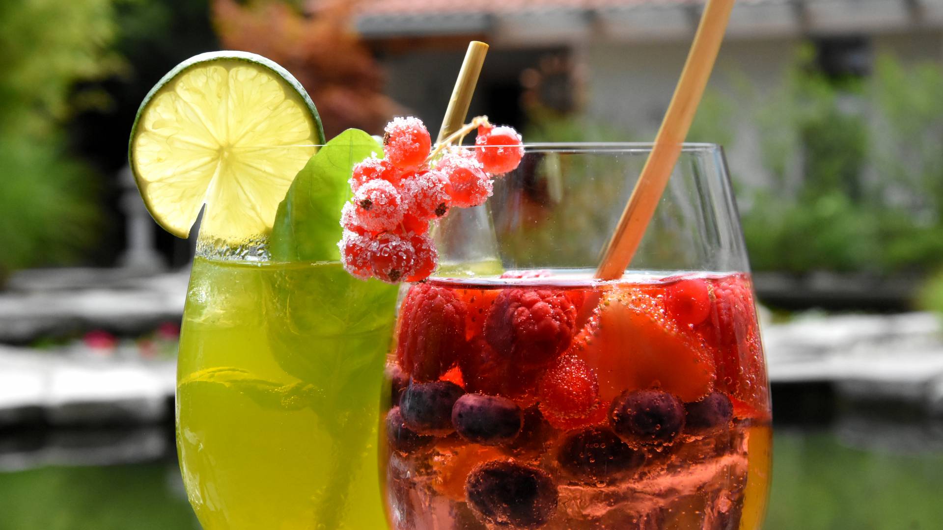 Cocktails im Hotel Wellnessgarten
